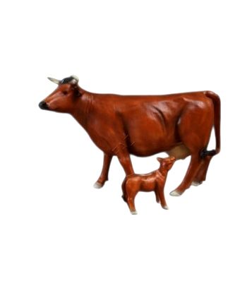 KROWA NATURALNYCH ROZMIARÓW...