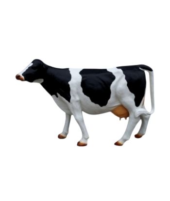 KROWA NATURALNYCH ROZMIARÓW...