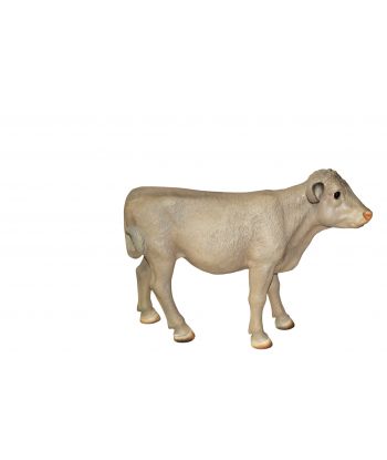 KROWA CIELAK XXL STOJĄCY...