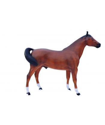 KOŃ OGIER ROZMIAR XXL w...