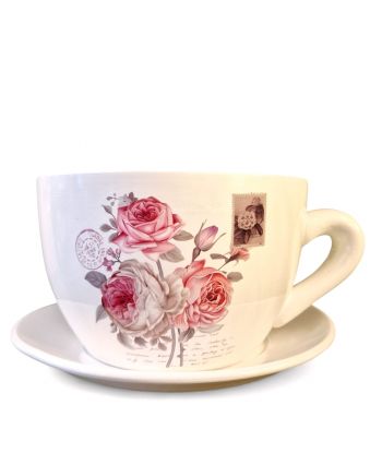 DONICZKA DONICA - ŚREDNIA...