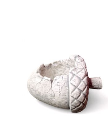 DONICA DONICZKA ORZECH...