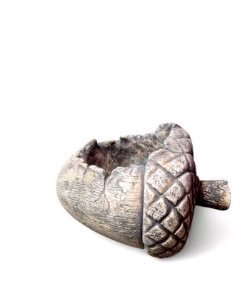 DONICA DONICZKA ORZECH...