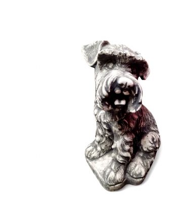 SIEDZĄCY PIES SZNAUCER...