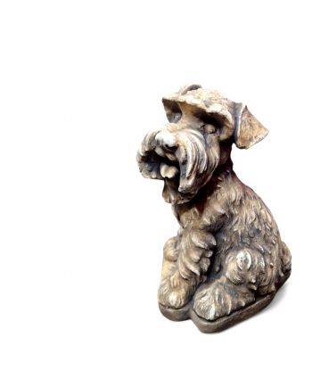 SIEDZĄCY PIES SZNAUCER...