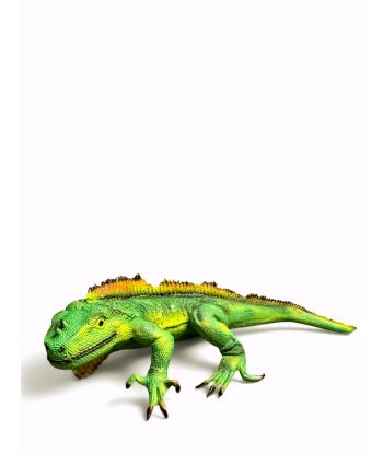 IGUANA / WARAN / LEGWAN...