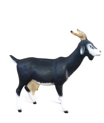 KOZA / KÓZKA MODEL IXc