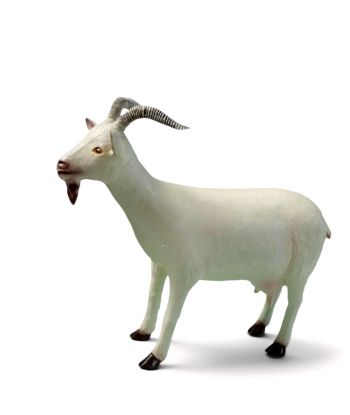 KOZA / KÓZKA MODEL VI