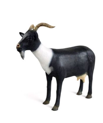 KOZA / KÓZKA MODEL VIb