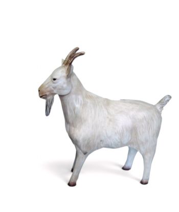 KOZA / KÓZKA MODEL V