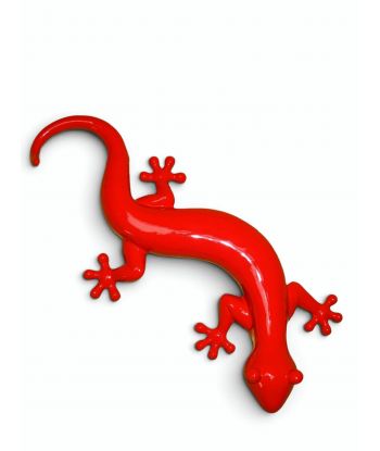 JASZCZURKA SALAMANDRA -...