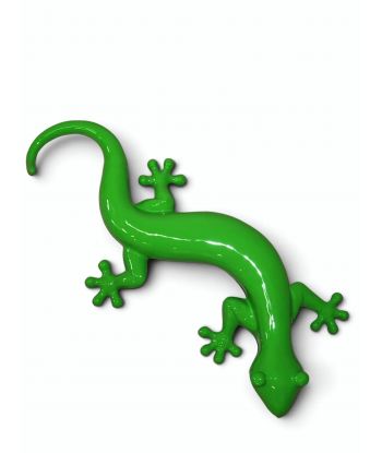 JASZCZURKA SALAMANDRA -...