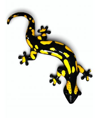 JASZCZURKA SALAMANDRA -...
