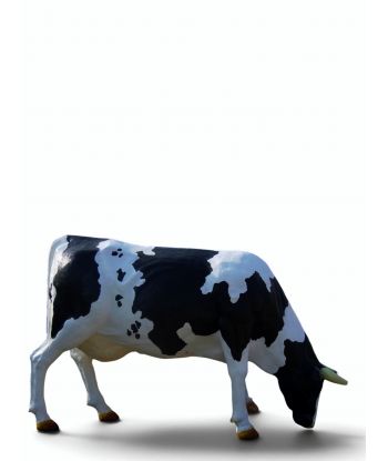 KROWA PASĄCA SIĘ -...