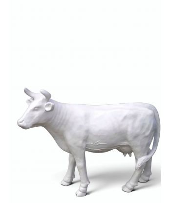 KROWA CIELAK XXL MODEL IIIa...
